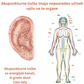 Uhani flysmus™ Lymphvity MagneTherapy s pirotitom (Ekskluzivna ponudba danes: kupite 1 in dobite 2 brezplačno 🎁)