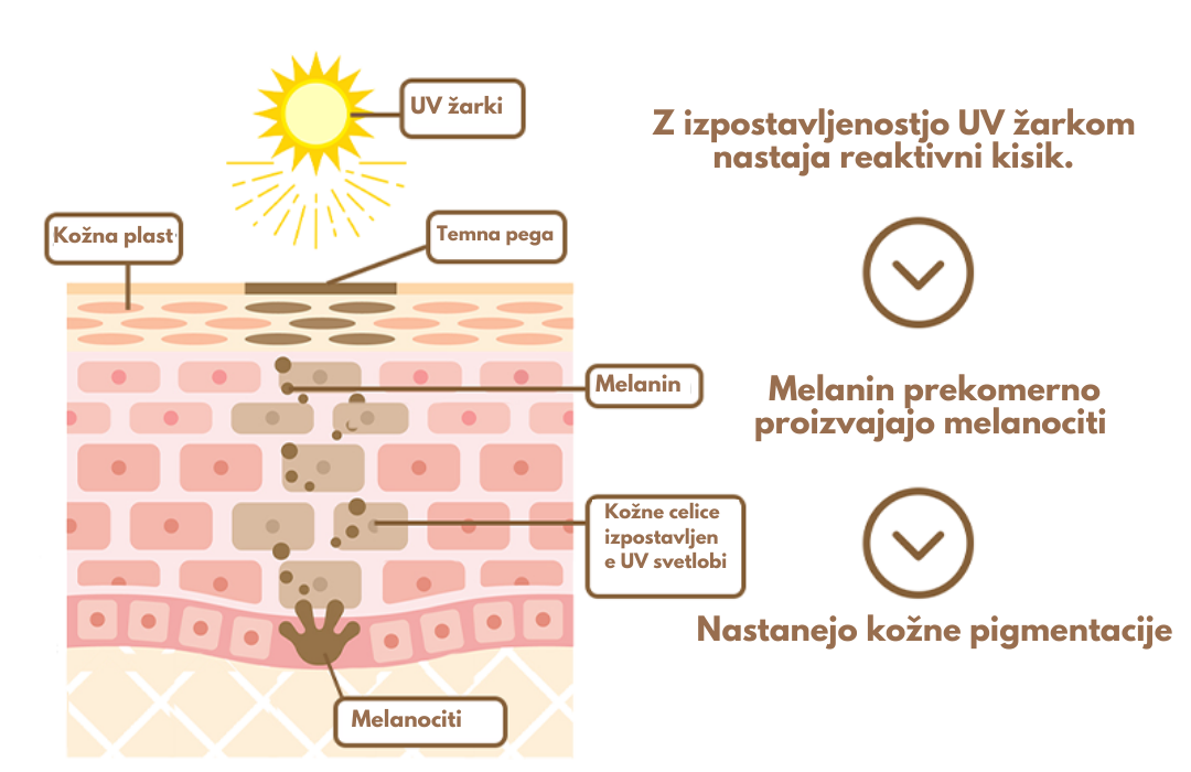 GFOUK™ Anti-Pigment Probiotična dnevna krema s SPF 50